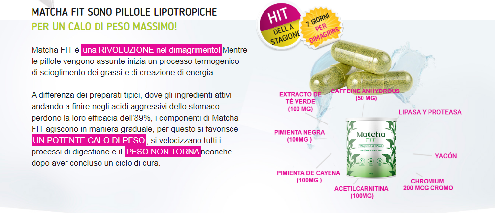 Matcha FIT ingredienti