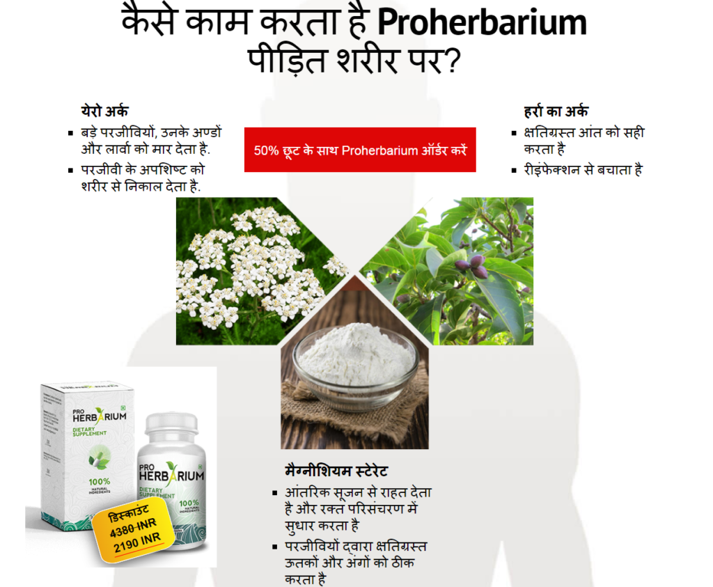 Proherbarium अवयव